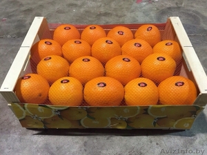 продаем апельсины из испании - Изображение #2, Объявление #1188221
