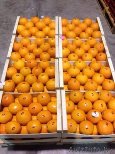 продаем апельсины из испании - Изображение #4, Объявление #1188221