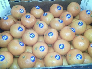 продаем мандарины из Испании - Изображение #2, Объявление #1188219