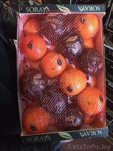 продаем апельсины из испании - Изображение #7, Объявление #1188221