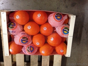 продаем апельсины из испании - Изображение #8, Объявление #1188221