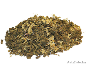 Иван-чай зеленый гранулированный ферментированный с таволгой, 100 г. - Изображение #1, Объявление #1198415
