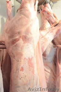 Все виды мяса.Туши, полутуши. Охлажденка, Заморозка - Изображение #5, Объявление #1204737