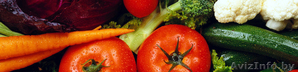Куплю овощи оптом по беларуси - Изображение #1, Объявление #1221017