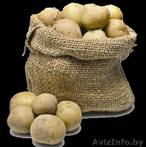 Cеменной картофель - Изображение #1, Объявление #1219459
