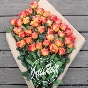 Цветы, розы с доставкой по низким ценам Минска! - Изображение #3, Объявление #1218194