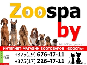 Интернет-магазин зоотоваров "ZooSPA" - Изображение #1, Объявление #1250407