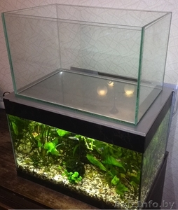 Продам аквариум 40ш х 25гл х 25в , 25литров, стекло 6мм, 150.000 руб. - Изображение #1, Объявление #1259199
