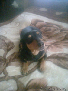 Мужчина в доме.