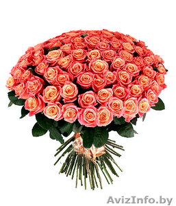 Доставка роз в Минске, всегда свежие розы дешево - Изображение #2, Объявление #1261154