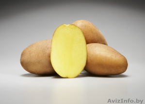 Немецкий семенной картофель - Изображение #3, Объявление #1283292