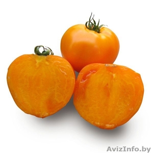 Семена оранжевого томата KS 18 F1 фирмы Китано - Изображение #1, Объявление #1297207