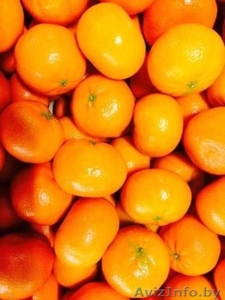 Реализуем мандарины из Испании - Изображение #1, Объявление #1328830