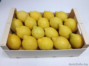 Продаем лимоны из Испании - Изображение #1, Объявление #1328835