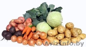 Продам овощи высокого качества - Изображение #1, Объявление #1345909