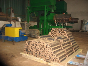 Оборудование для производства  топливных брикетов Pini&Kay  и гранул - Изображение #1, Объявление #1358429