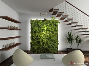 Вертикальное озеленение - Изображение #1, Объявление #1370217