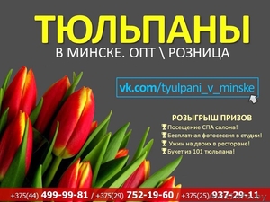 Тюльпаны к 8 марту по самым лучшим ценам - Изображение #1, Объявление #1368088