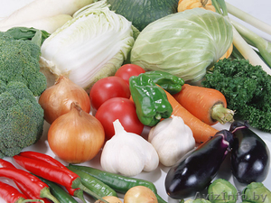 Закупаем оптом лук, картофель, морковь и другие овощи - Изображение #1, Объявление #1387560