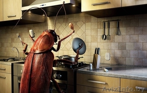 Уничтожение насекомых и грызунов (акты, договоры, сертификаты) - Изображение #1, Объявление #1399045