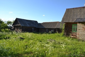 Деревянный дом около г. Лепель - Изображение #2, Объявление #1432611