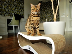 Когтеточка для кошки GRAND WAVE из эко-картона - Изображение #3, Объявление #1477965