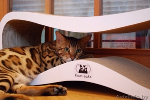 Когтеточка для кошки GRAND WAVE из эко-картона - Изображение #4, Объявление #1477965