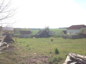 Дом и 25 соток рядом с Минском, гараж, деревья, кусты - Изображение #5, Объявление #1480833