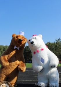Большие Медведи Панда на свадьбу день рождения юбилей встречу гостей выпускной  - Изображение #4, Объявление #1473276