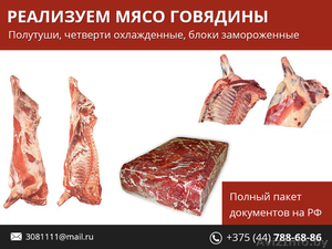 Реализуем мясо говядины. - Изображение #1, Объявление #1480127