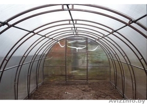 В нашей теплице ваши помидоры в безопасности