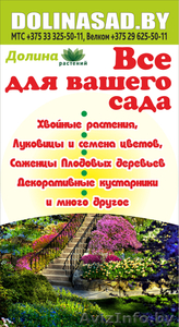 Купить растения в Гродно. Каталог,  Доставка,  Гарантия.