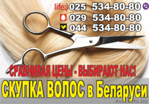 Скупка волос в Минске. Покупаем волосы дорого. - Изображение #1, Объявление #1449856
