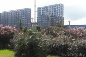 Апартаменты в Грузии. Недвижимость в Батуми.