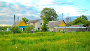 Продается дом (усадьба) в д. Бригидово 47 км.от Минска. - Изображение #8, Объявление #1340841