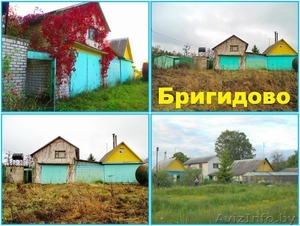 Продается дом (усадьба) в д. Бригидово 47 км.от Минска. - Изображение #4, Объявление #1340841