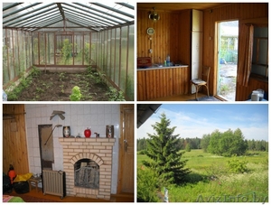 Продается дом (усадьба) в д. Бригидово 47 км.от Минска. - Изображение #5, Объявление #1340841