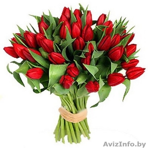 Продажа цветов к 8 марта: крокусы, примулы, тюльпаны - Изображение #1, Объявление #1536994