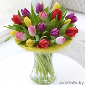 Продажа цветов к 8 марта: крокусы, примулы, тюльпаны - Изображение #3, Объявление #1536994