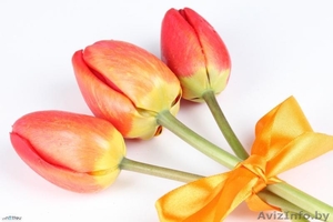 Цветы. Голландские Тюльпаны к 8 марта оптом от производителя. - Изображение #5, Объявление #1540544