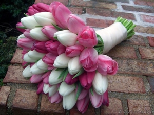 Цветы. Голландские Тюльпаны к 8 марта оптом от производителя. - Изображение #7, Объявление #1540544