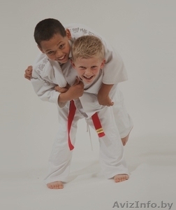 Занятия боевыми искусствами для детей от 4 лет - Изображение #3, Объявление #1545291