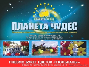 Оформление и проведение любых мероприятий под ключ. Минск - Изображение #3, Объявление #1432954