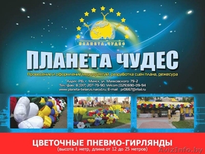 Оформление и проведение любых мероприятий. Минск - Изображение #5, Объявление #1433101