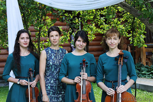 Струнное трио. Музыкальное сопровождение выездных регистраций.