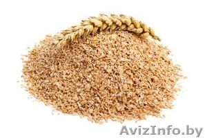 Отруби пшеницы закупаю оптом - Изображение #1, Объявление #1548790