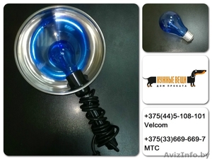 синяя лампа напрокат - Изображение #1, Объявление #1403624