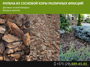 Мульча из сосновой коры различных фракций в Минске - Изображение #1, Объявление #1565429