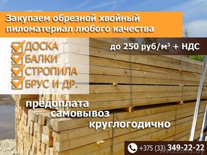 Закупаем доску 1,2,3,4, сорта хвойных пород по Беларуси - Изображение #1, Объявление #1568234