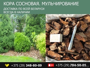 Мульча из сосновой коры в Беларуси - Изображение #1, Объявление #1568399